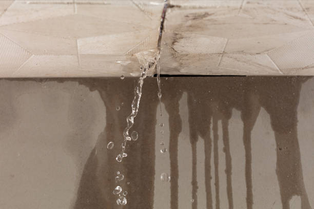 Professional Sewage Cleanup technician working in West Bloomfield, MI